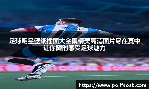 🚀 弗兰·加西亚