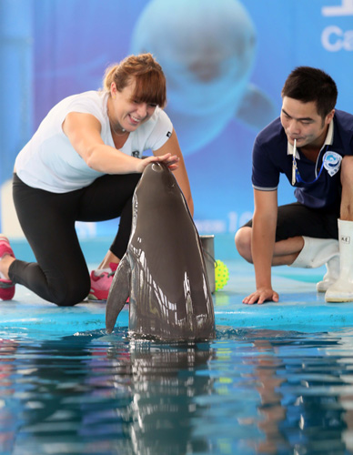 也曾出现过 也曾出现过