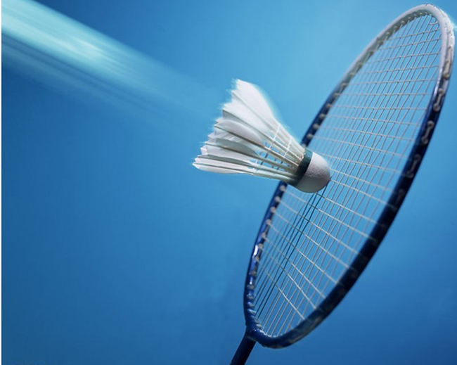 特的搭档 特的搭档